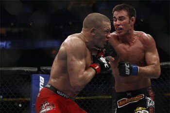 Gsp_shields_display_image
