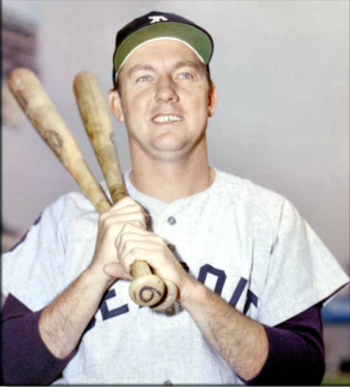 Kaline_display_image