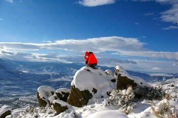 Photo courtesy of www.tebowing.com.
