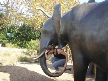 Photo courtesy of www.tebowing.com.