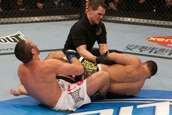 Ufc_111_palhares_drwal_display_image