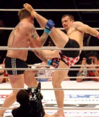 Cro-cop-knocks-out-aleksander-emelianenko_display_image