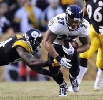 Rayrice_display_image