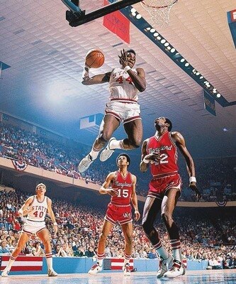 Davidthompson_display_image