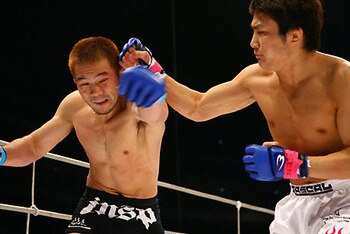 Gomisakurai_display_image