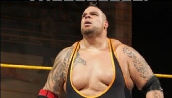 Brodus_display_image