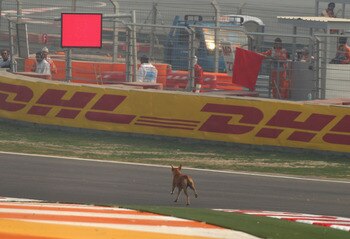 130671216_display_image