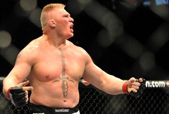Brock_display_image