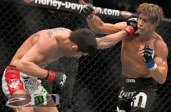 Cruz_display_image