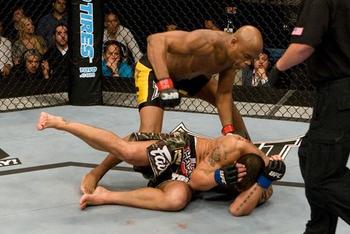 Silva_display_image