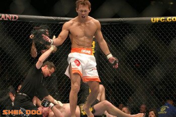 Okami_display_image