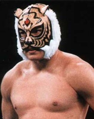 Tigermask_display_image