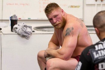 Brocklesnar_display_image