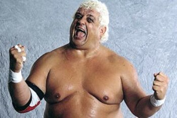 Dusty_rhodes_display_image