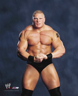Brock_lesnar_display_image
