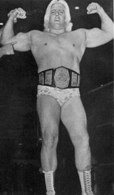 Ricflair_display_image