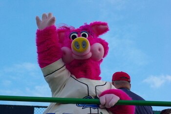 Taken from: http://saintsbaseball.com/funisgood/mascots/