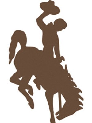 Wyoming_display_image