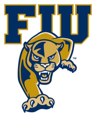 Fiu_display_image