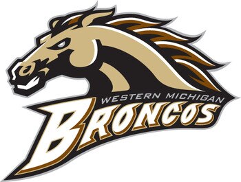 Wmu_display_image