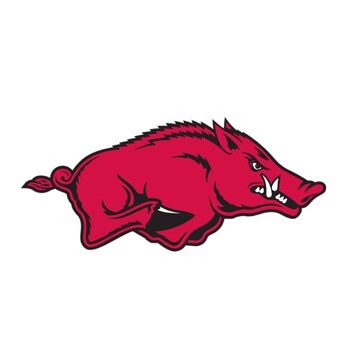 Arkansas_display_image