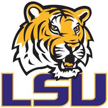 Lsu_display_image