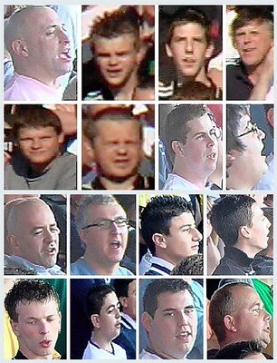 Fans_display_image