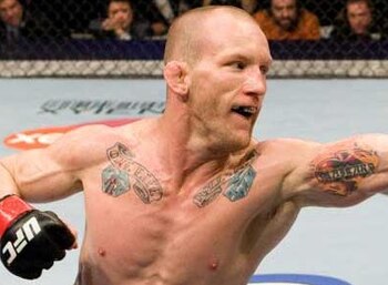 Gray_maynard2_display_image