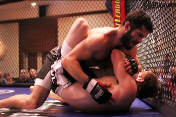 Mitchfieldkylewaldvogel_display_image