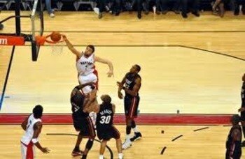 Bargnani_display_image