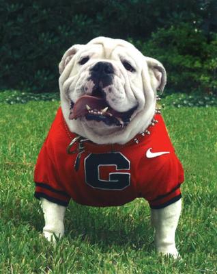 Uga7_display_image