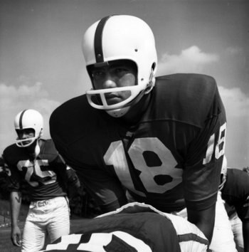 Romangabriel_display_image