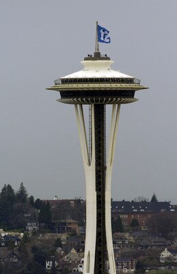 82904806_display_image