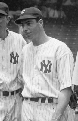 389px-dimaggio_cropped_display_image