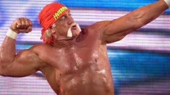 Hogan_display_image