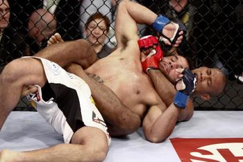 Jacare_display_image