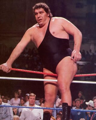 Andre-the-giant_display_image