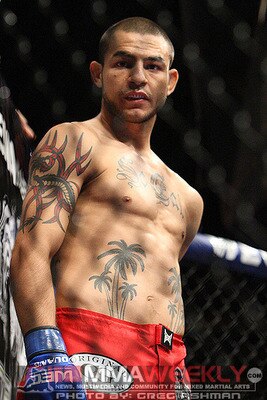 Cubswanson_display_image