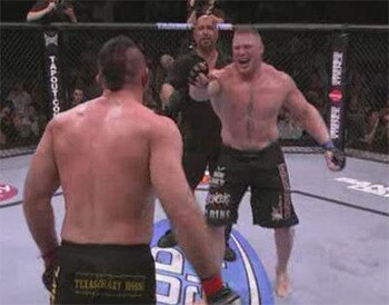Brock-754240_display_image