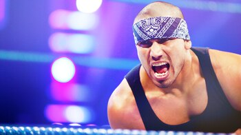 Hunico_display_image