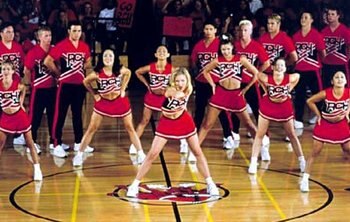 Toros_display_image