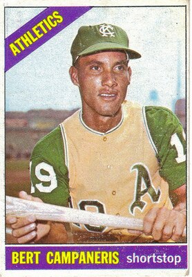 Bertcampaneris_display_image