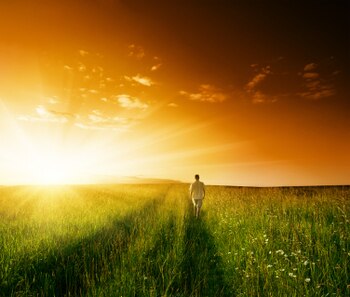 Here-comes-the-sun_display_image