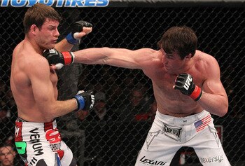 Chaelsonnen_display_image
