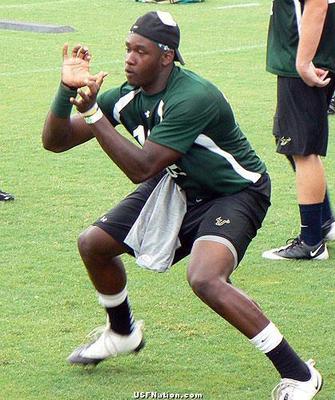 Laremytunsil_display_image
