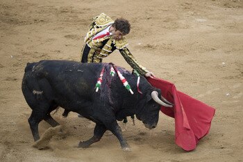 Matador Defense