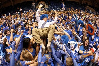 "Dukie  V" in his natural habitat