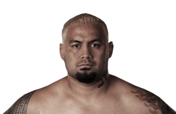Mark Hunt - UFC.com