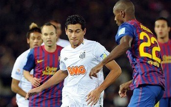 Ganso2_display_image