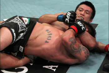 Best Finishing Moves in MMA History